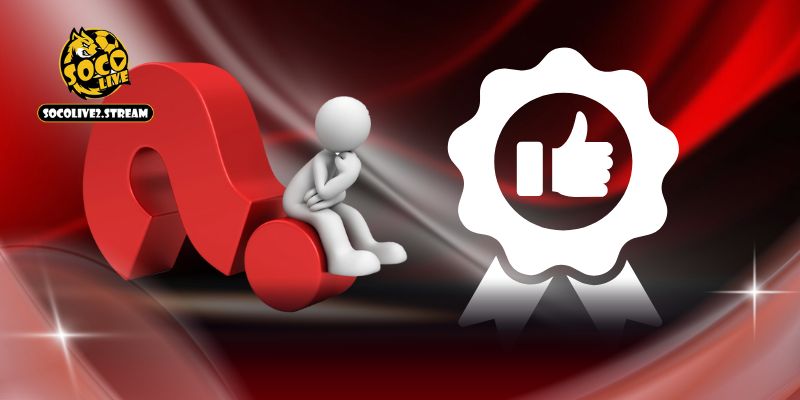 Câu hỏi thường gặp về chất lượng của trang web